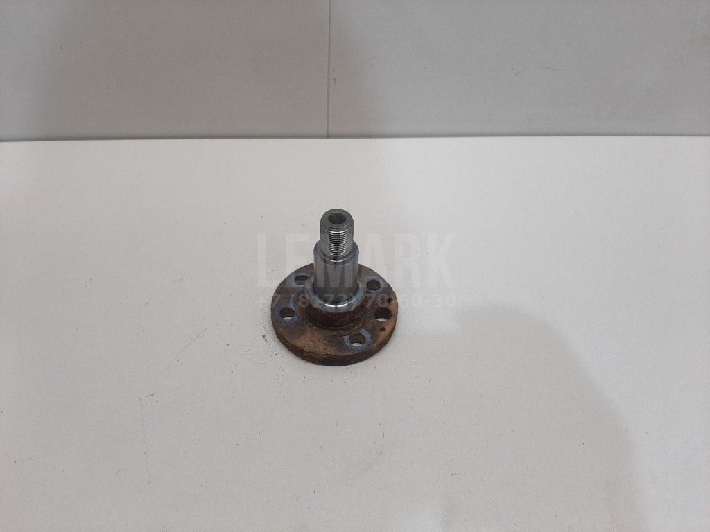Цапфа (п.з.к.) для  Audi A3 (8Y) 2020