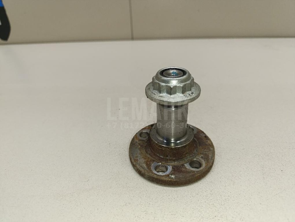 Цапфа (п.з.к.)