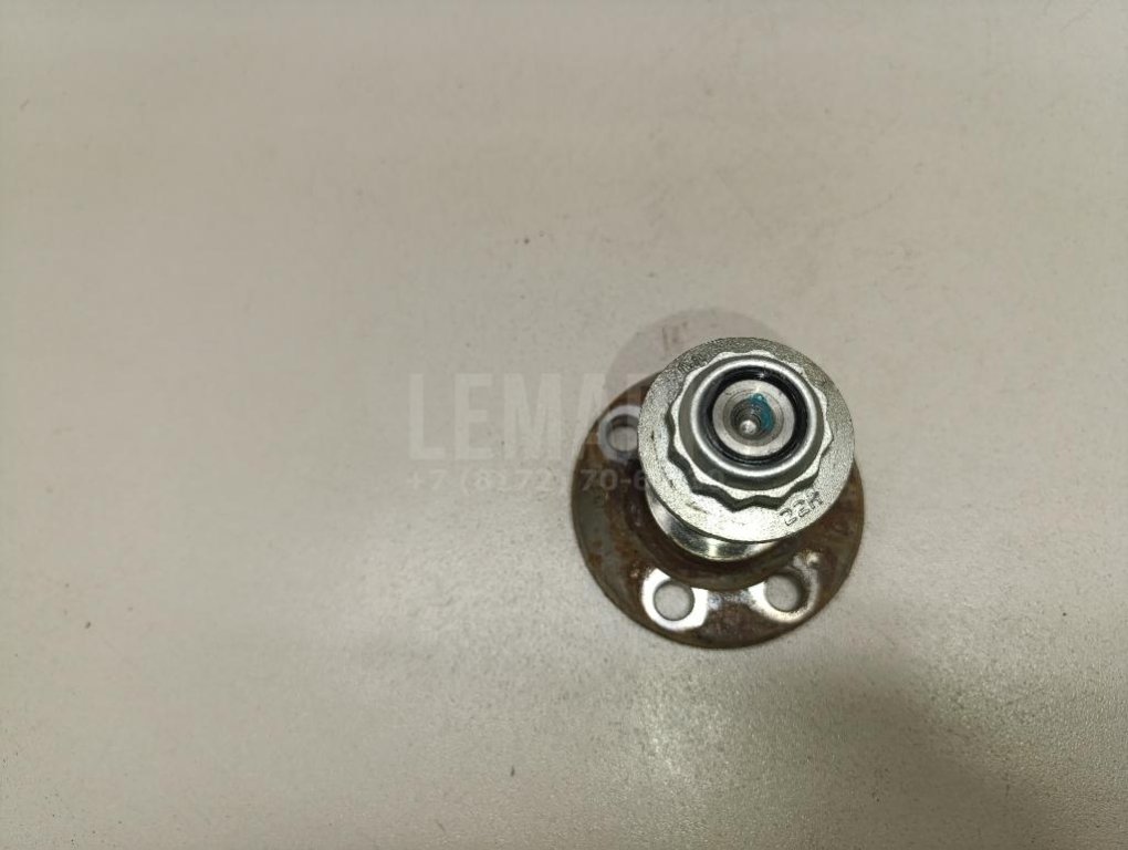 Цапфа (п.з.к.)