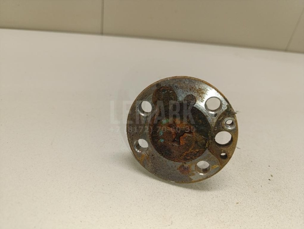 Цапфа (п.з.к.)