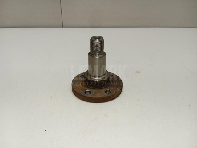 Цапфа (п.з.к.)