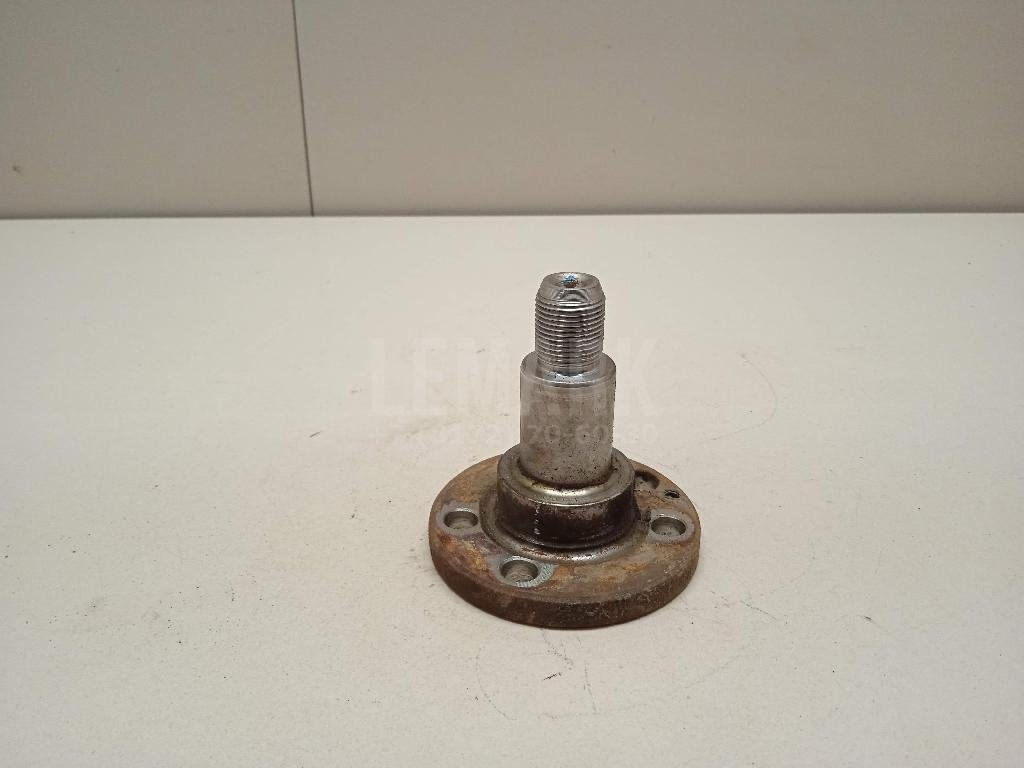 Цапфа (п.з.к.)