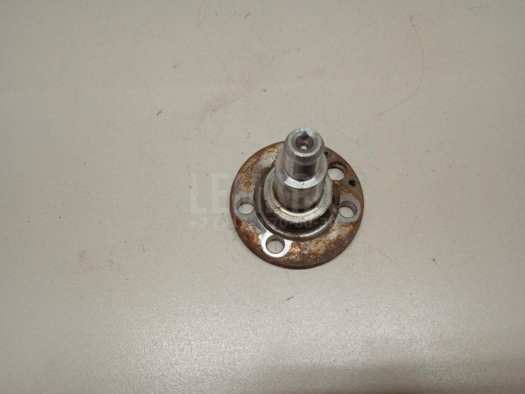 Цапфа (п.з.к.)