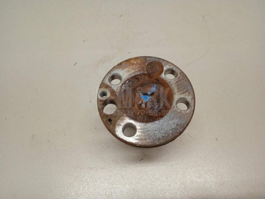 Цапфа (п.з.к.)