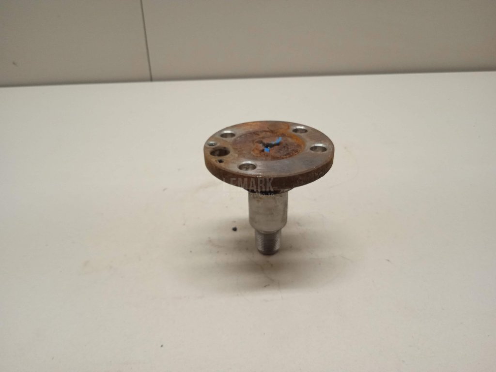 Цапфа (п.з.к.)