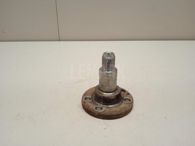 Цапфа (п.з.к.)