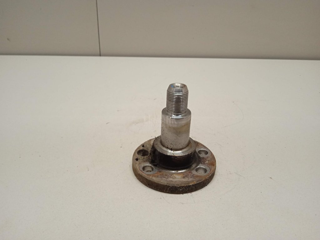 Цапфа (п.з.к.)