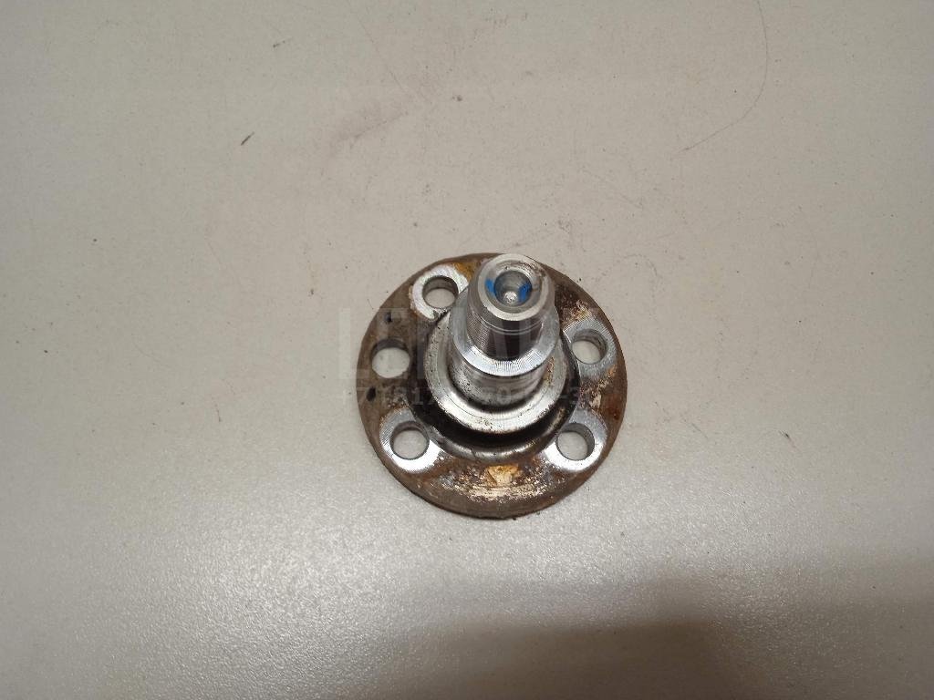 Цапфа (п.з.к.)