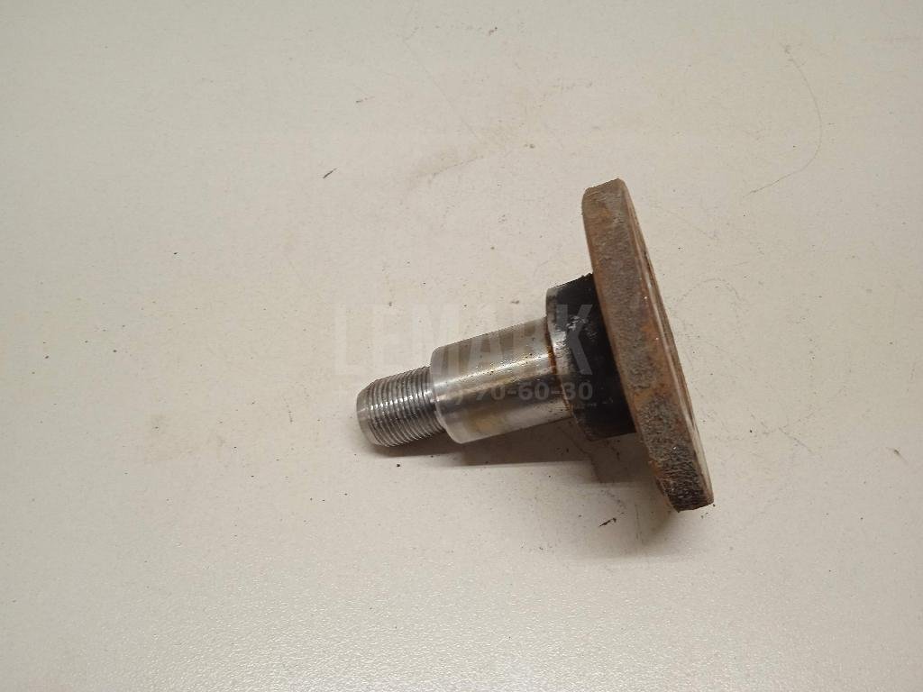 Цапфа (п.з.к.)