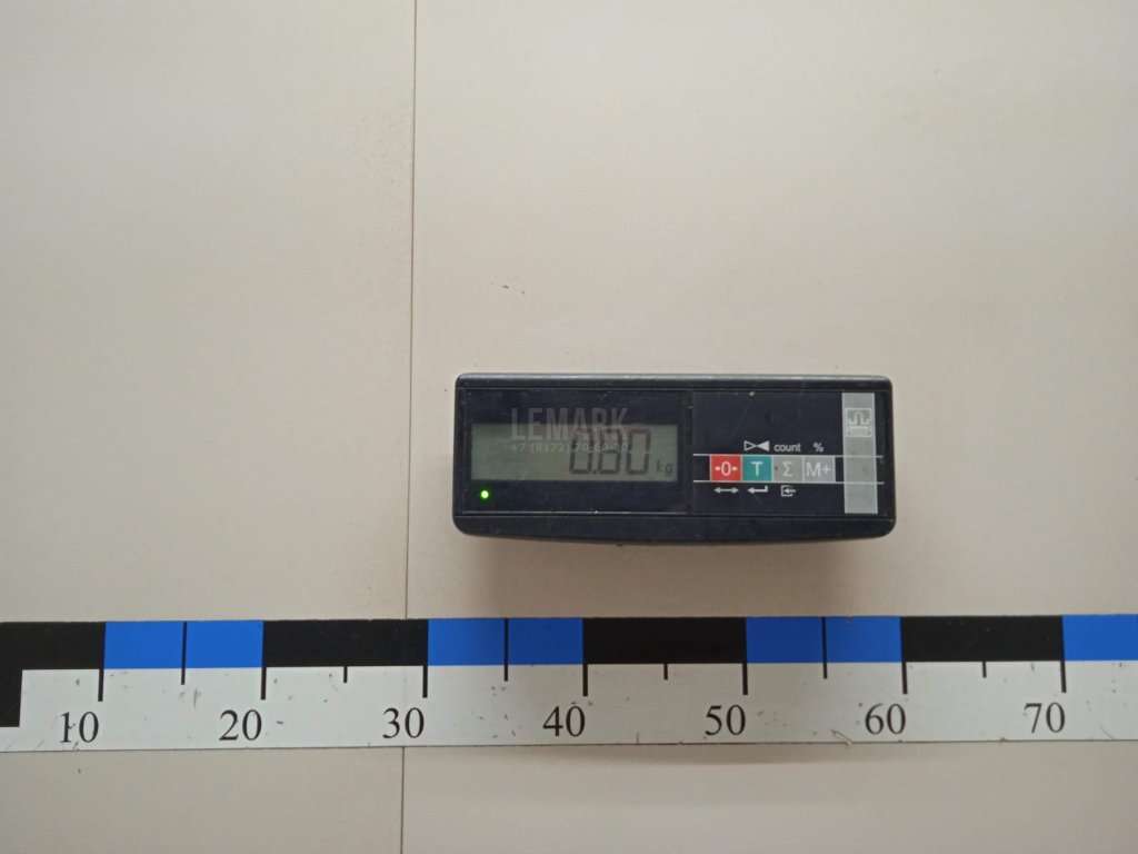 Цапфа (п.з.к.)