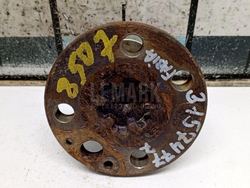 Цапфа (п.з.к.)