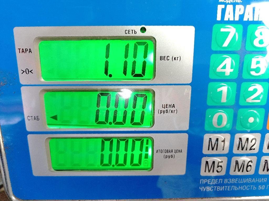 Насос (ТНВД) бензиновый