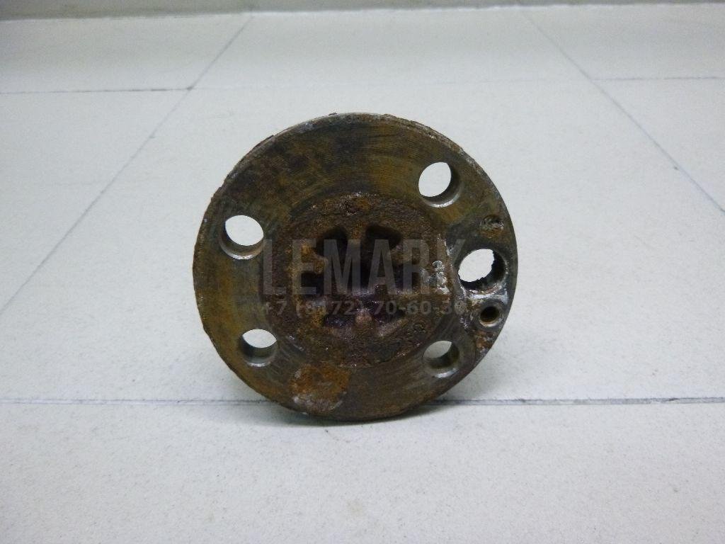 Цапфа (п.з.к.)