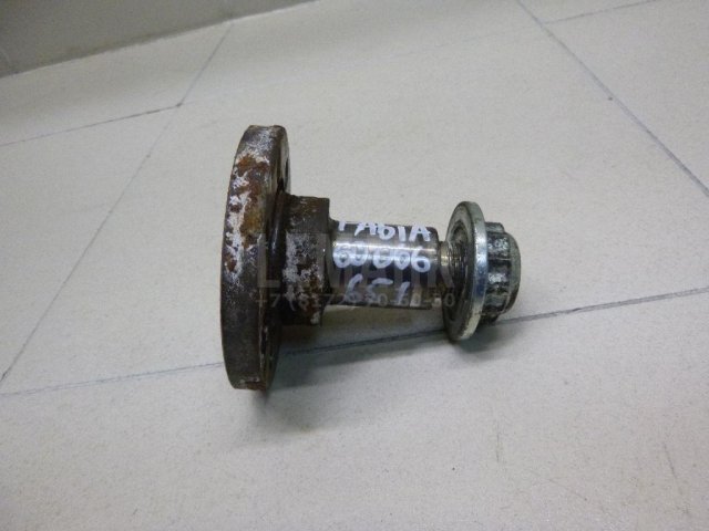 Цапфа (п.з.к.)