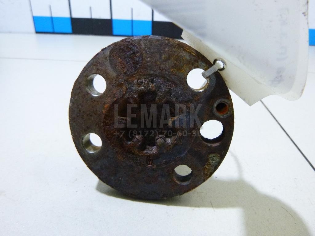 Цапфа (п.з.к.)