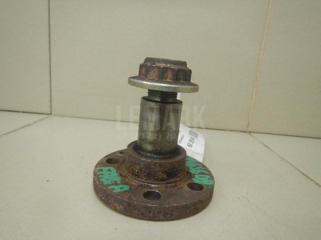 Цапфа (п.з.к.)