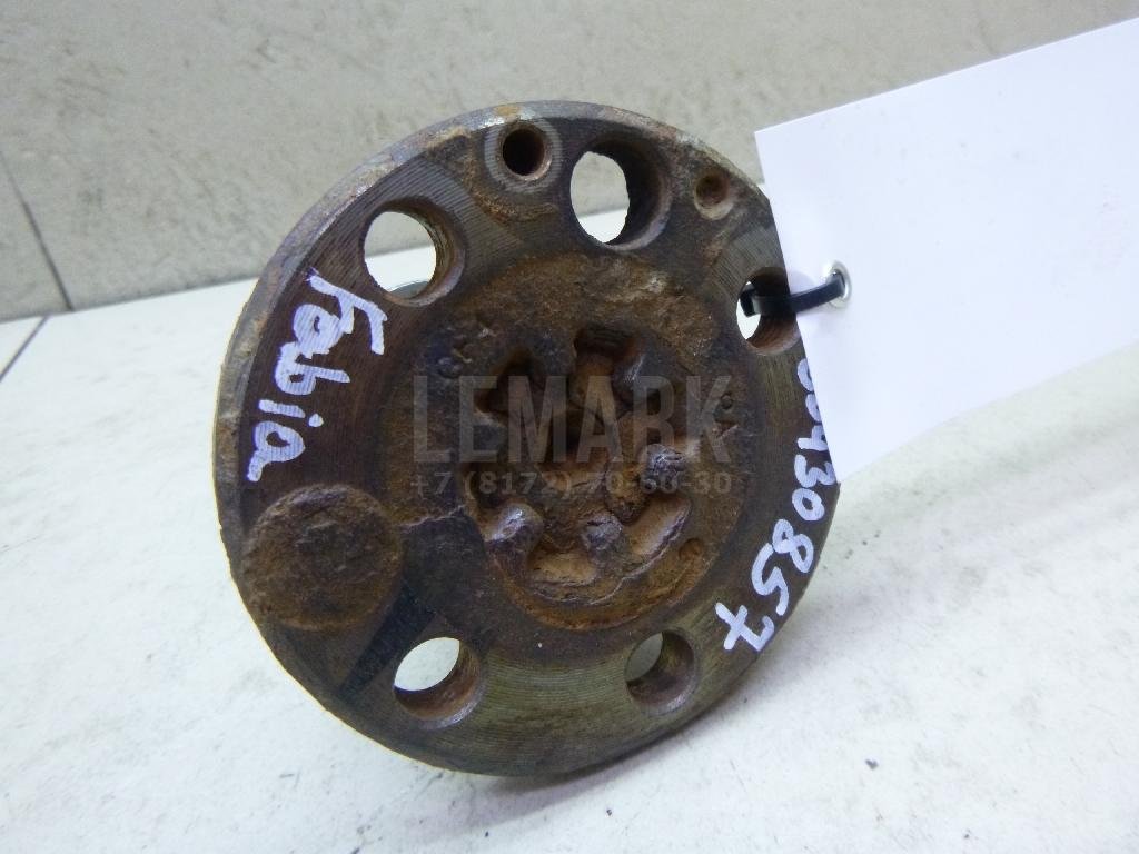 Цапфа (п.з.к.)