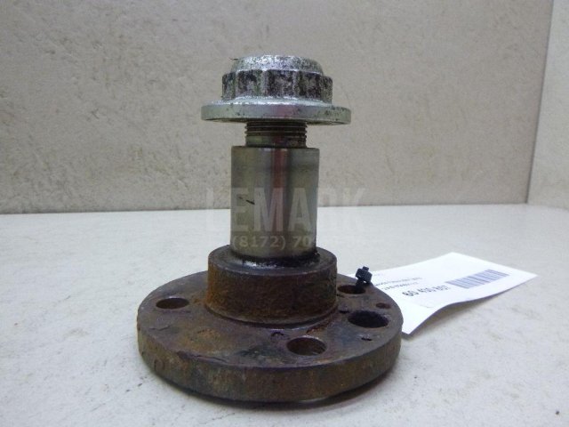 Цапфа (п.з.к.)