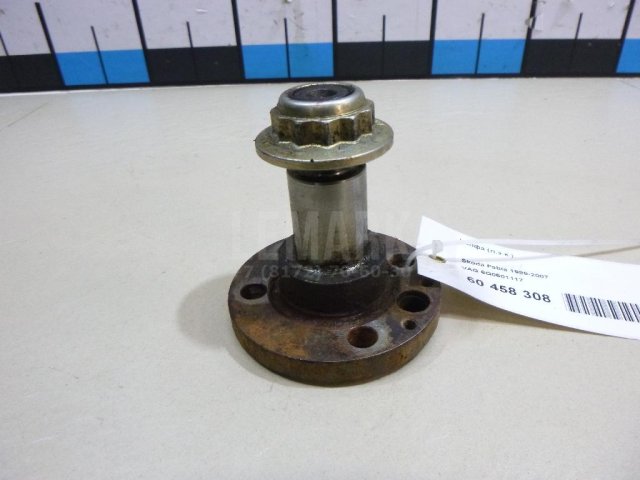 Цапфа (п.з.к.)