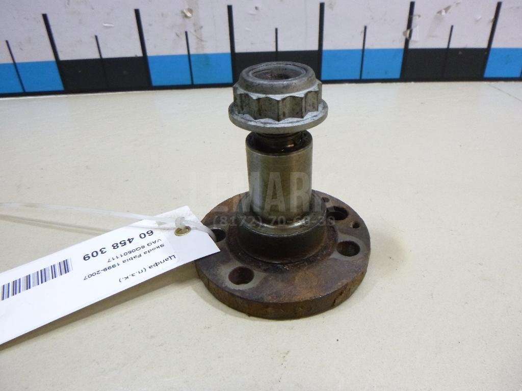 Цапфа (п.з.к.)