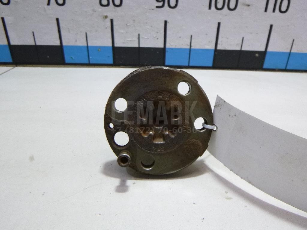 Цапфа (п.з.к.)