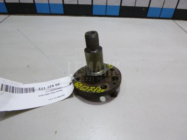 Цапфа (п.з.к.)