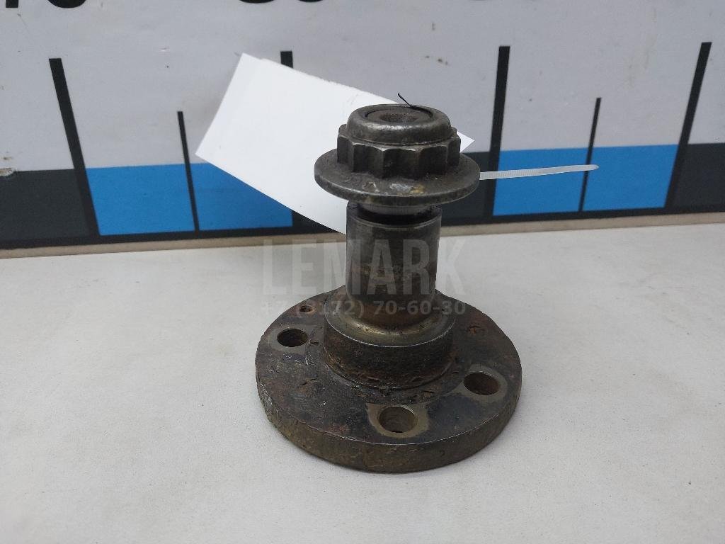 Цапфа (п.з.к.)