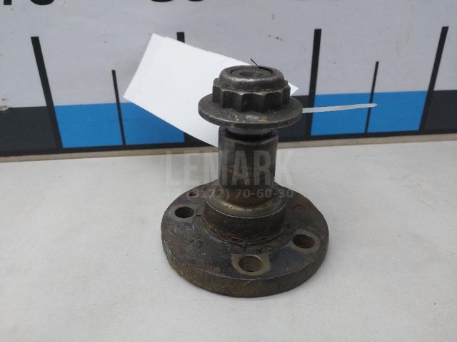 Цапфа (п.з.к.)