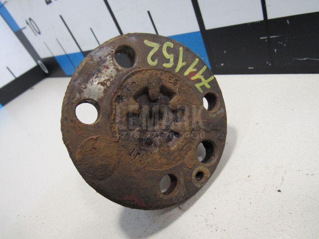 Цапфа (п.з.к.)