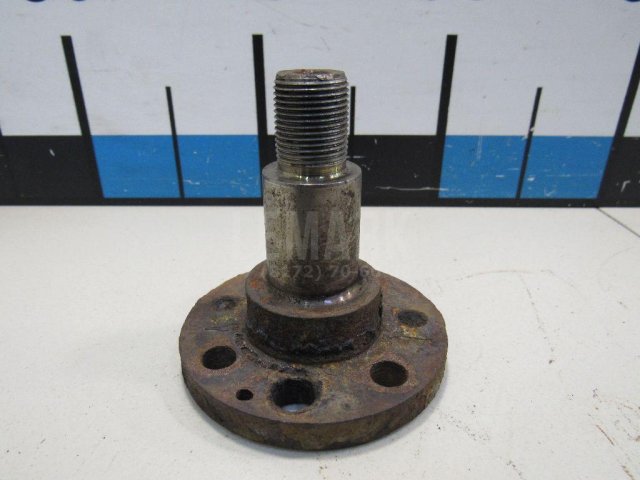 Цапфа (п.з.к.)