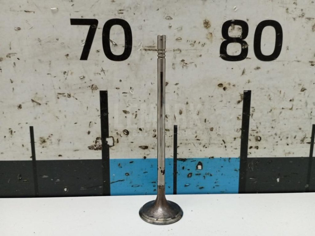 Клапан выпускной для  Audi 80/90 [B4] 1991-1995