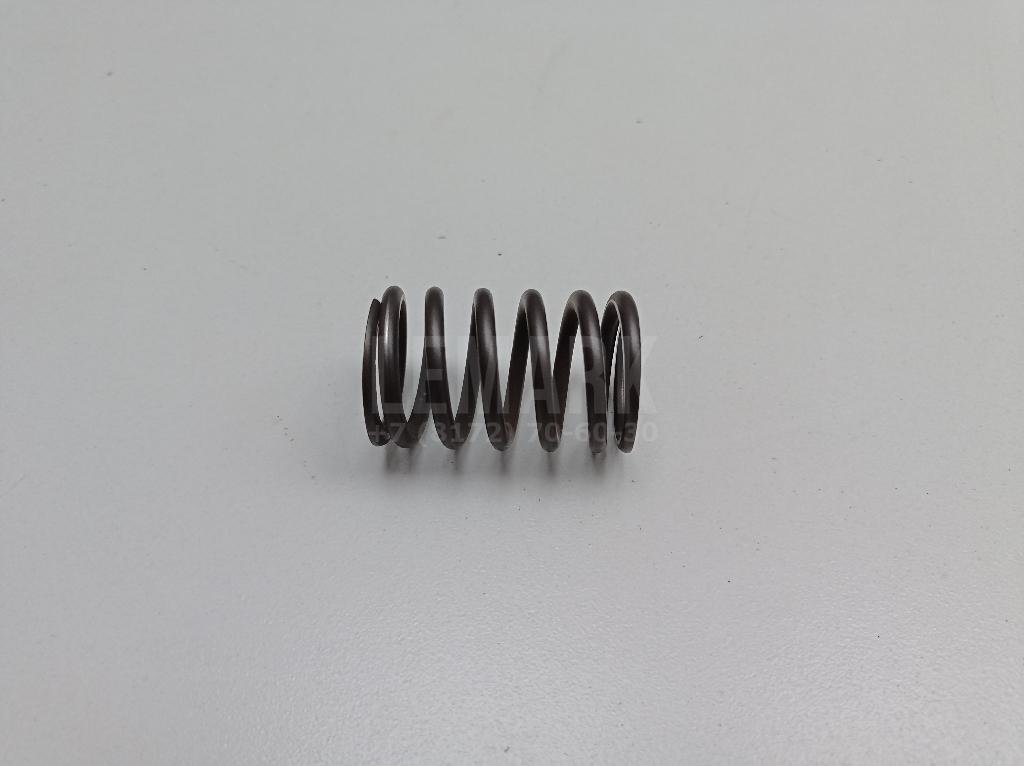 Пружина клапана