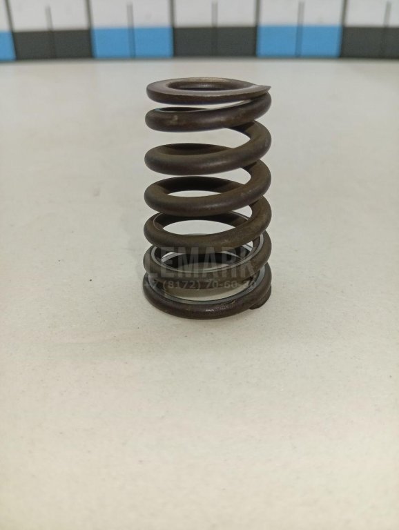 Пружина клапана