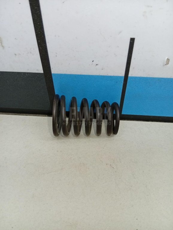 Пружина клапана