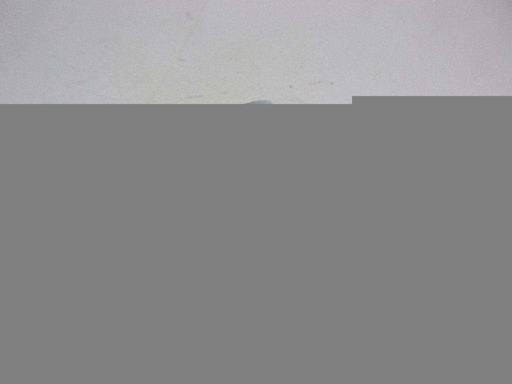 Петля двери