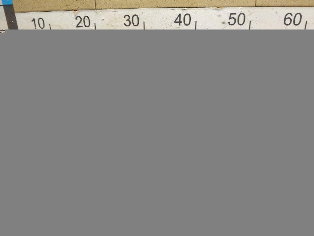 Кулак поворотный задний левый