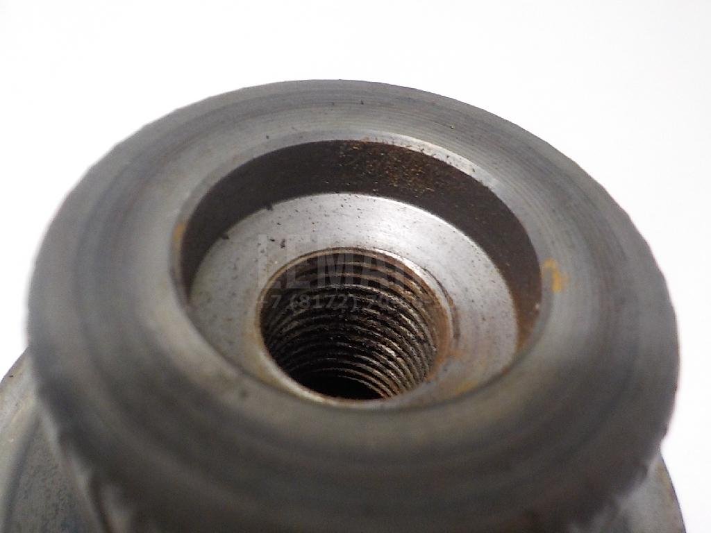 Цапфа (п.з.к.)