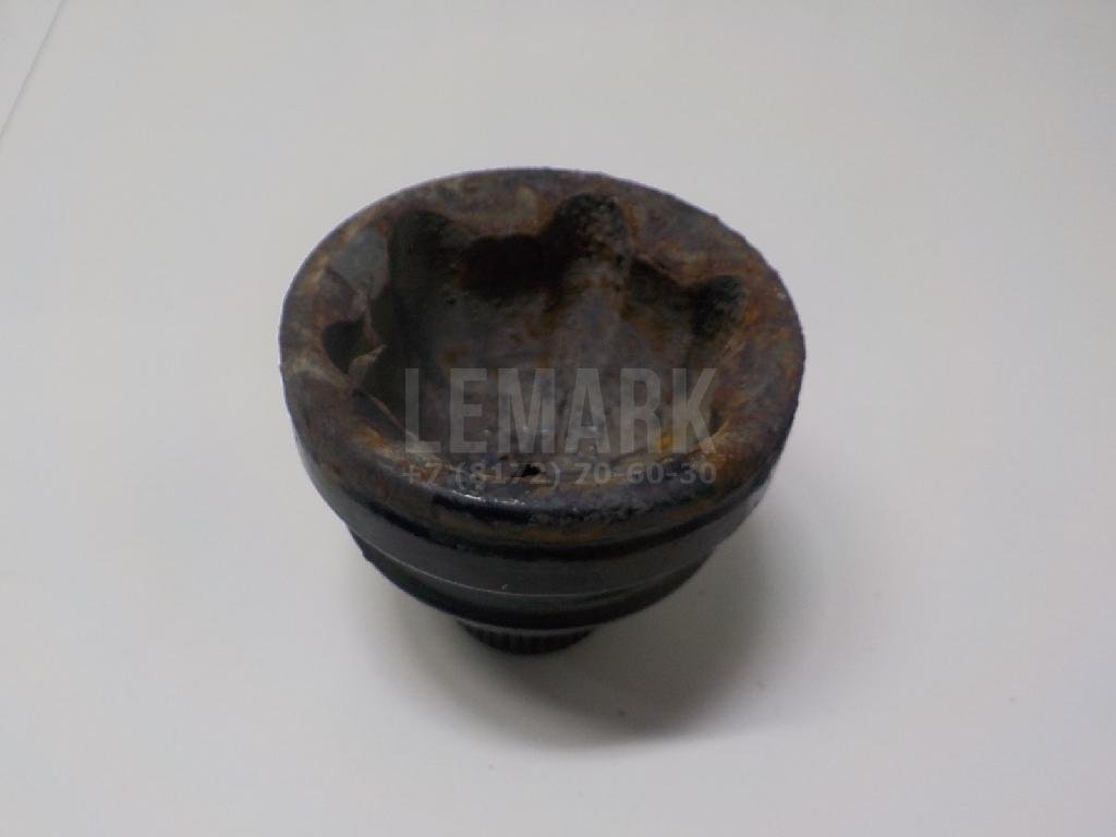 Цапфа (п.з.к.)