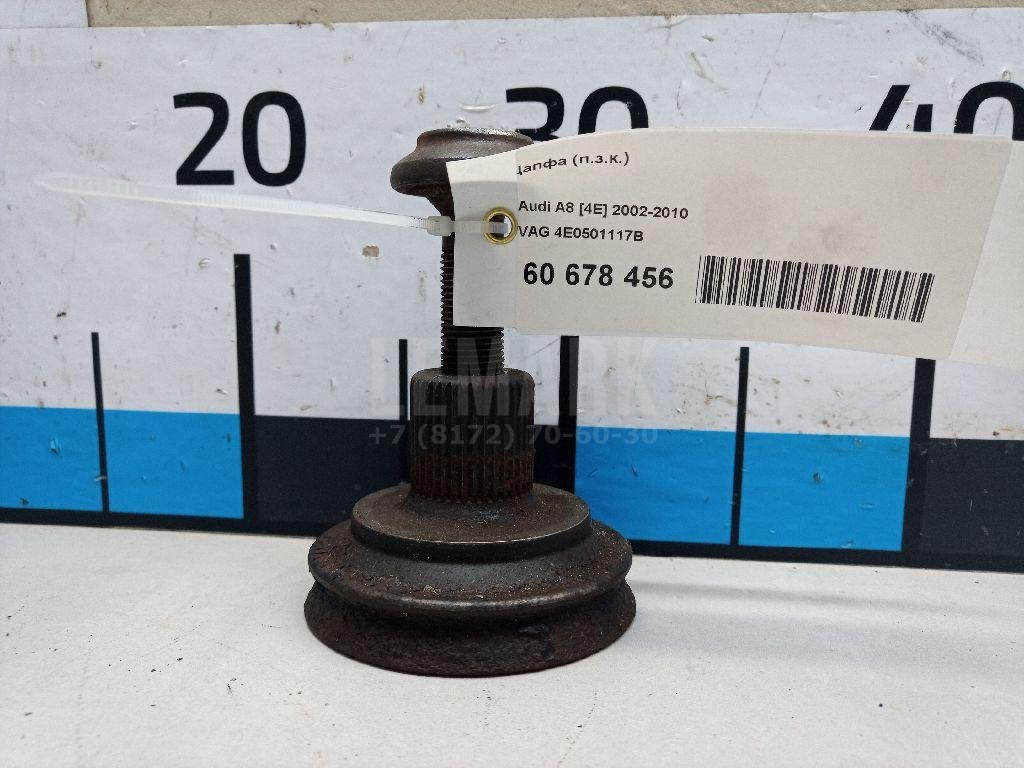 Цапфа (п.з.к.)