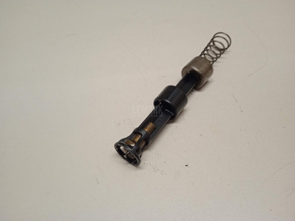 Термостат для  Audi A5/S5 (F5) 2017